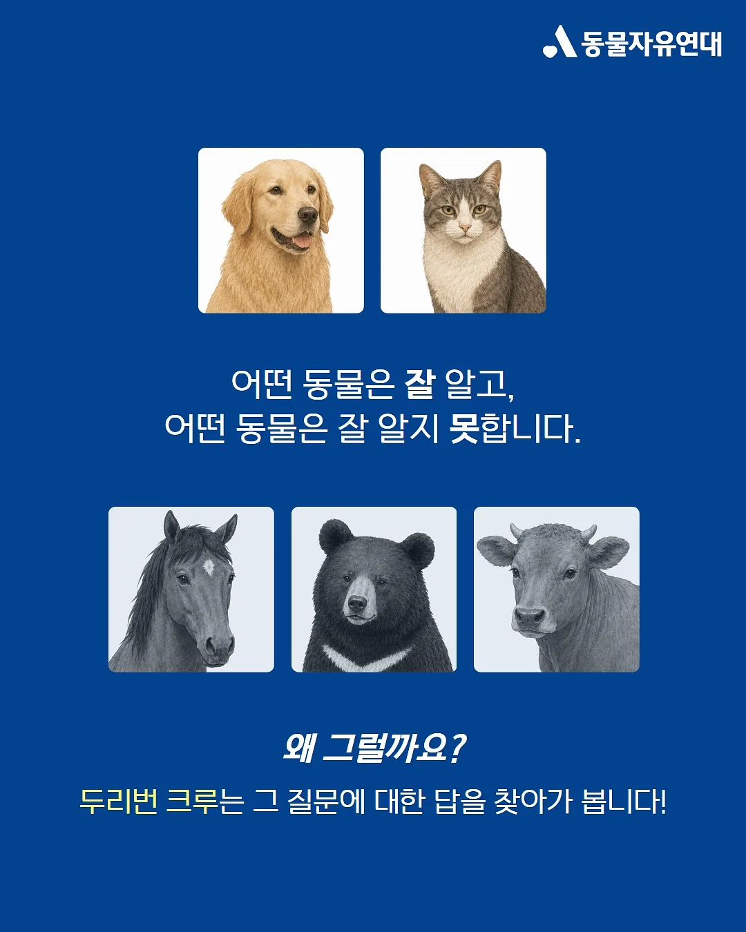 닥터파이토 오메가3 3