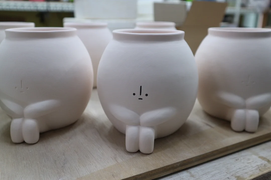 잔대 뿌리 4