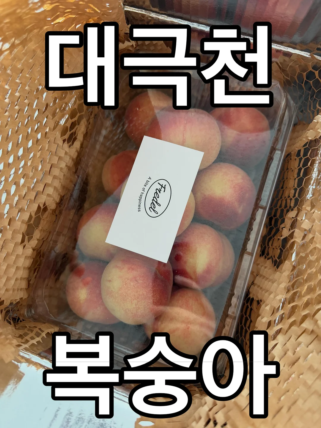 로지플로 아기 보행기 튜브 1