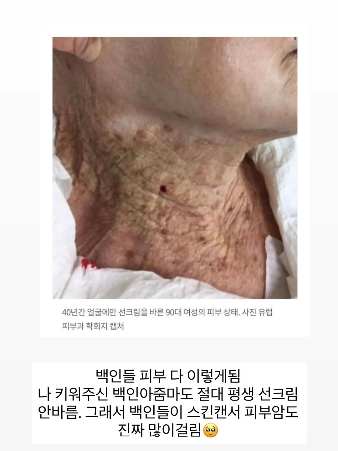 펄 가디건 5