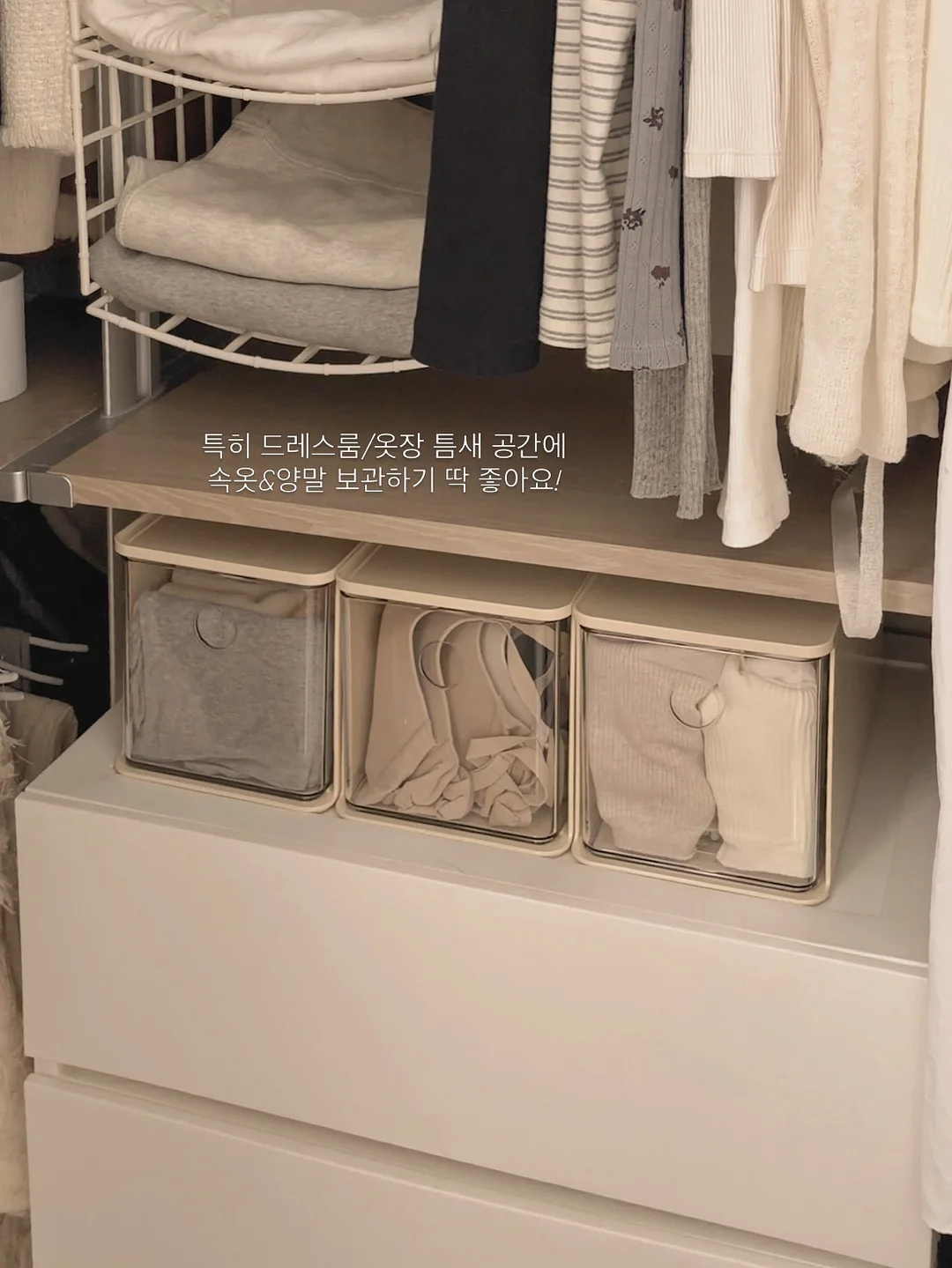샘표 조선고추장 6