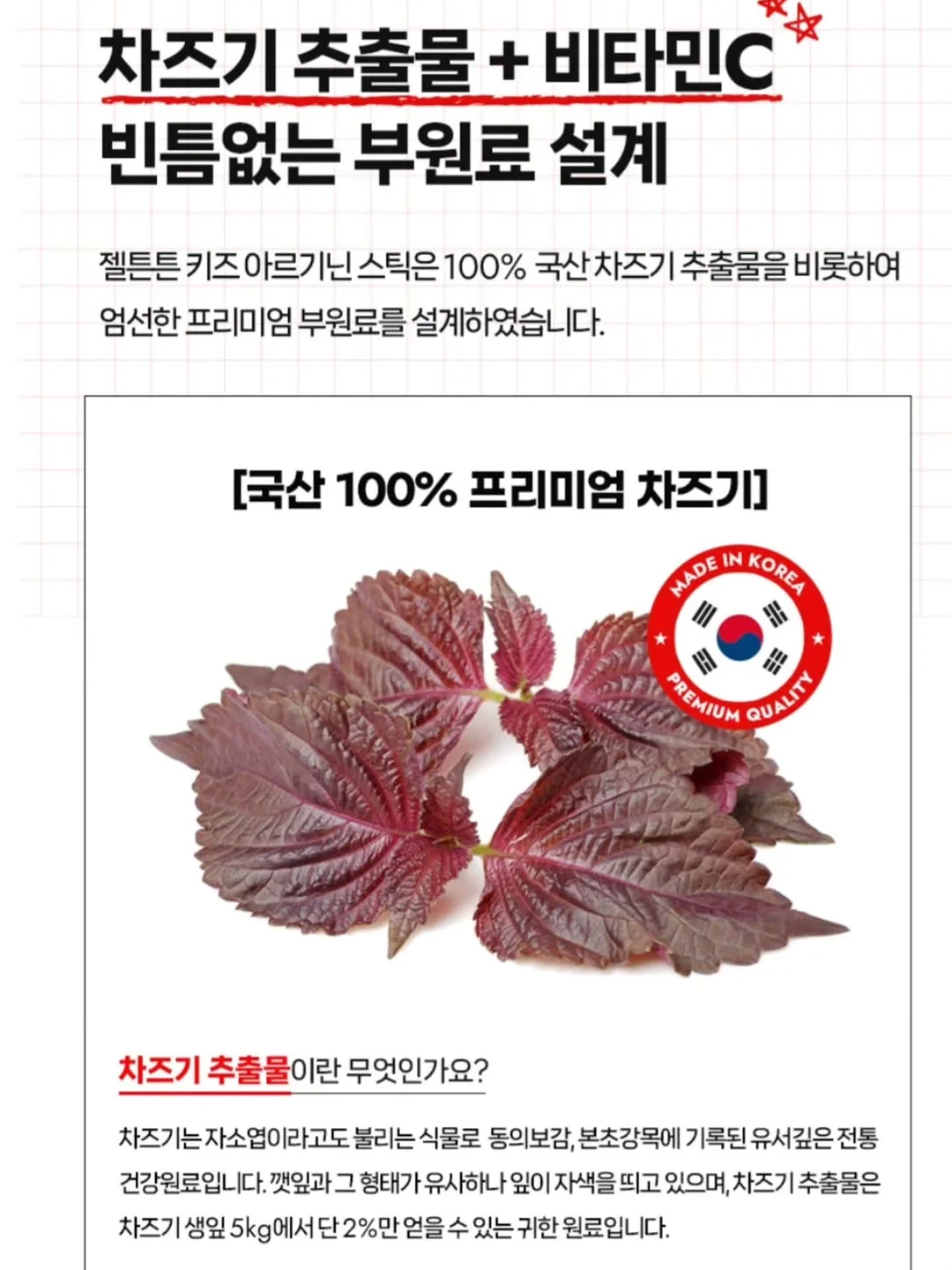 꽃바구니 XL 9