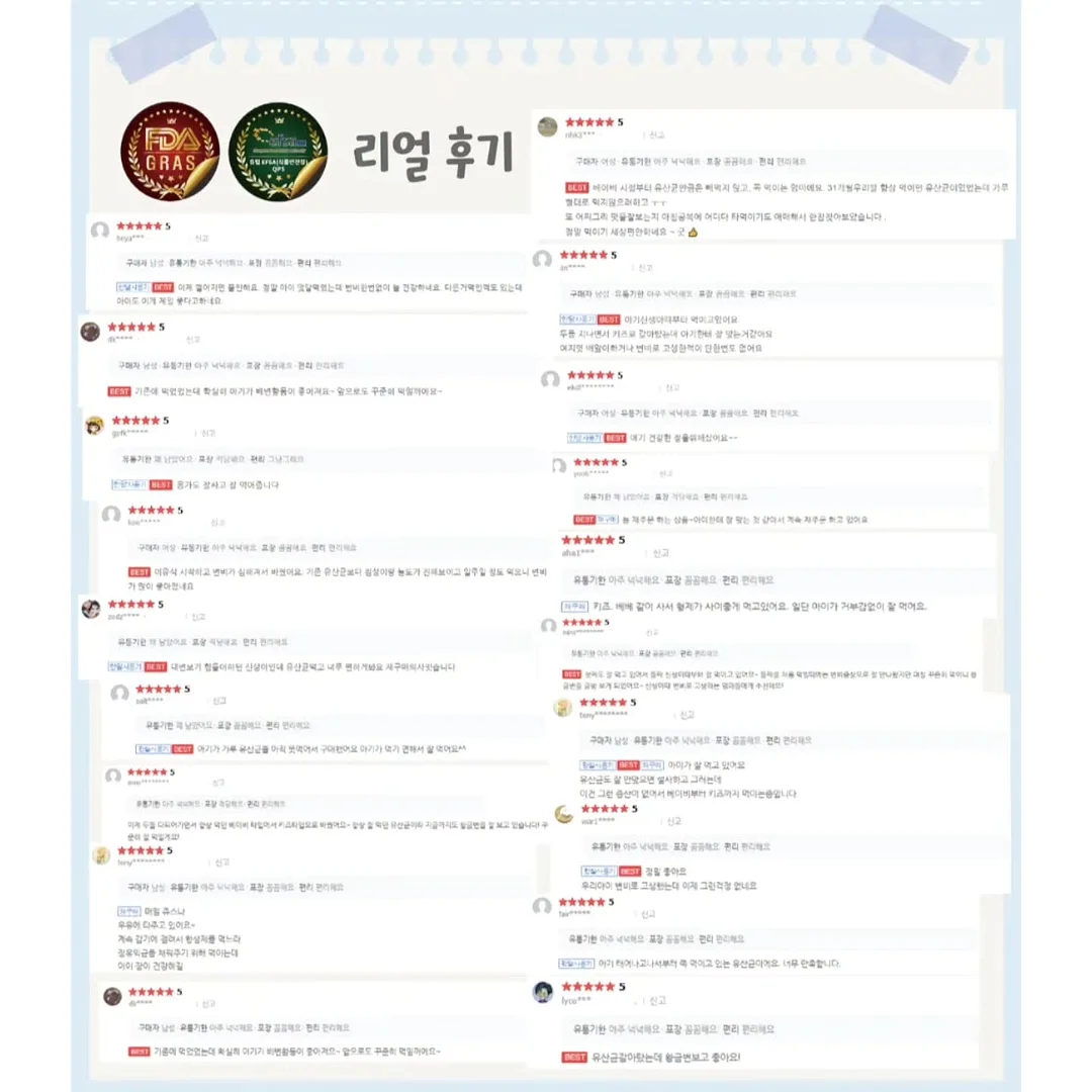 드라세나 마지나타 13