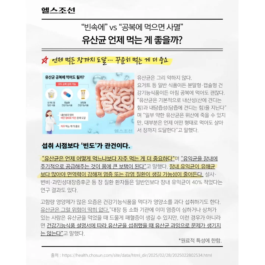 드라세나 마지나타 8