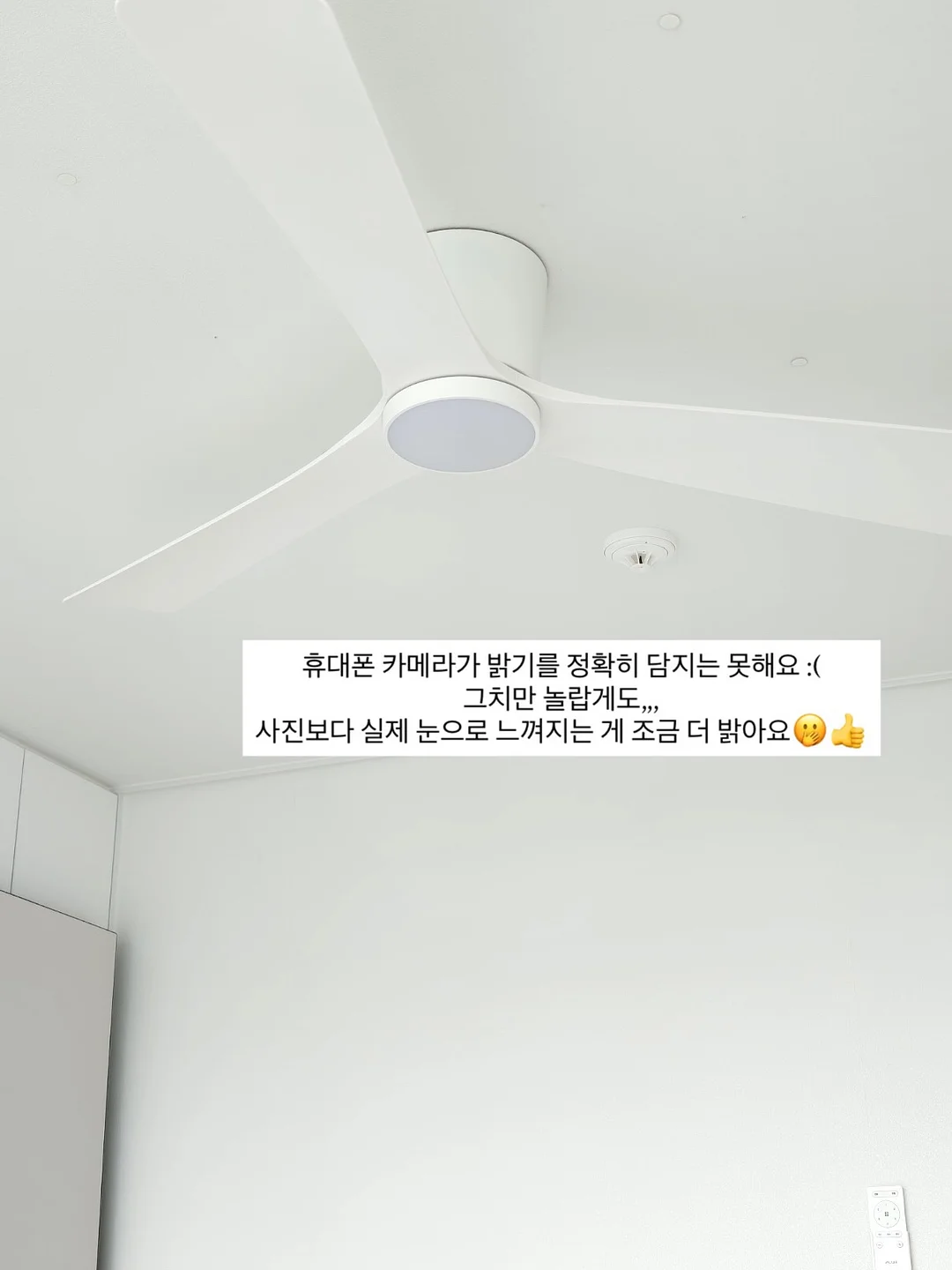 오투라이프 에어텐트 8