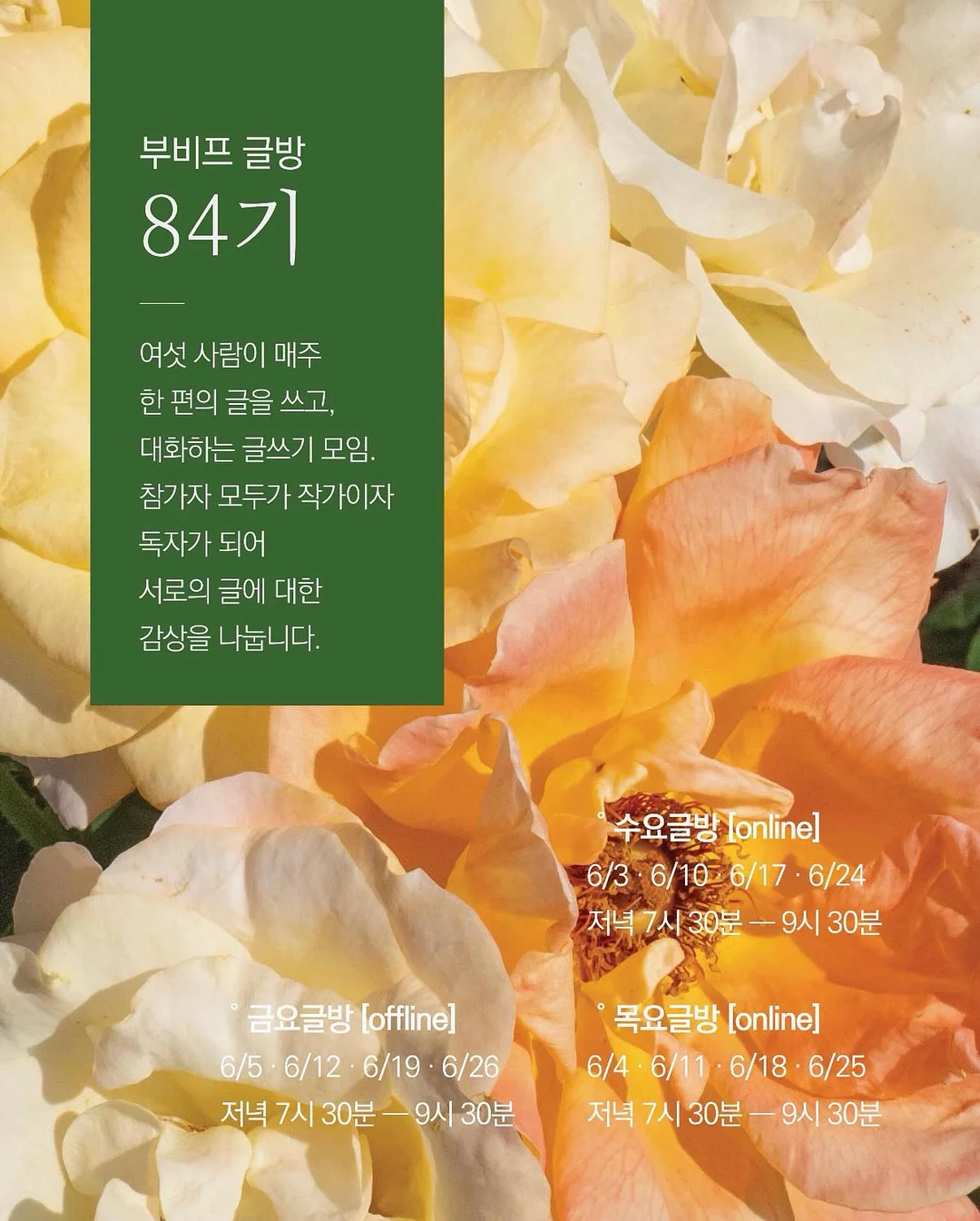 셔링 모크넥 랩 블라우스