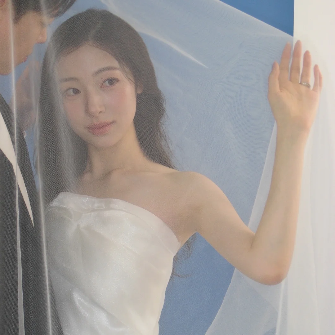 호접란 화분 11