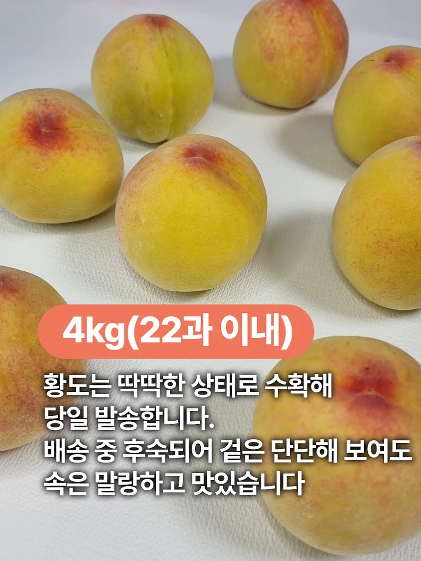 카라멜버터샌드쿠키 4