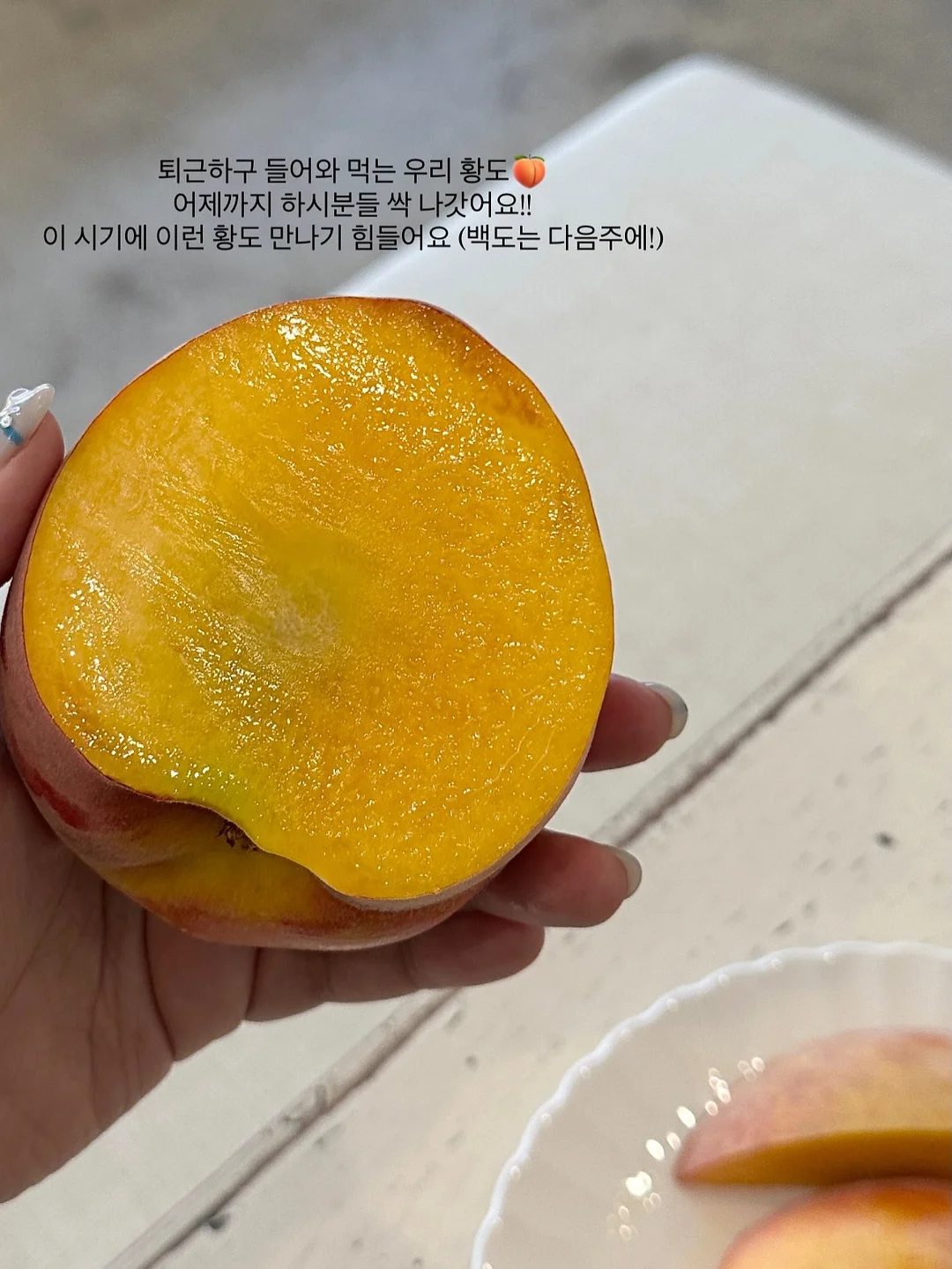 흡착식 다리미 3