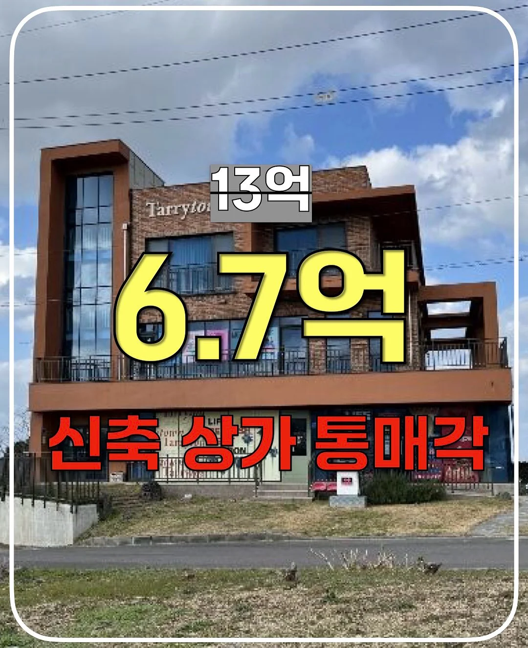 시바이누 1