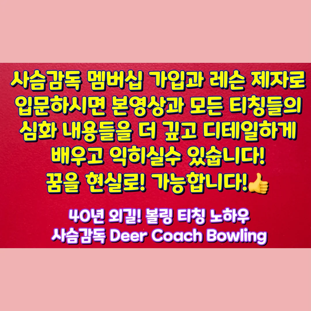브라이텍스 듀얼픽스 STYLE 컬렉션 카시트 6