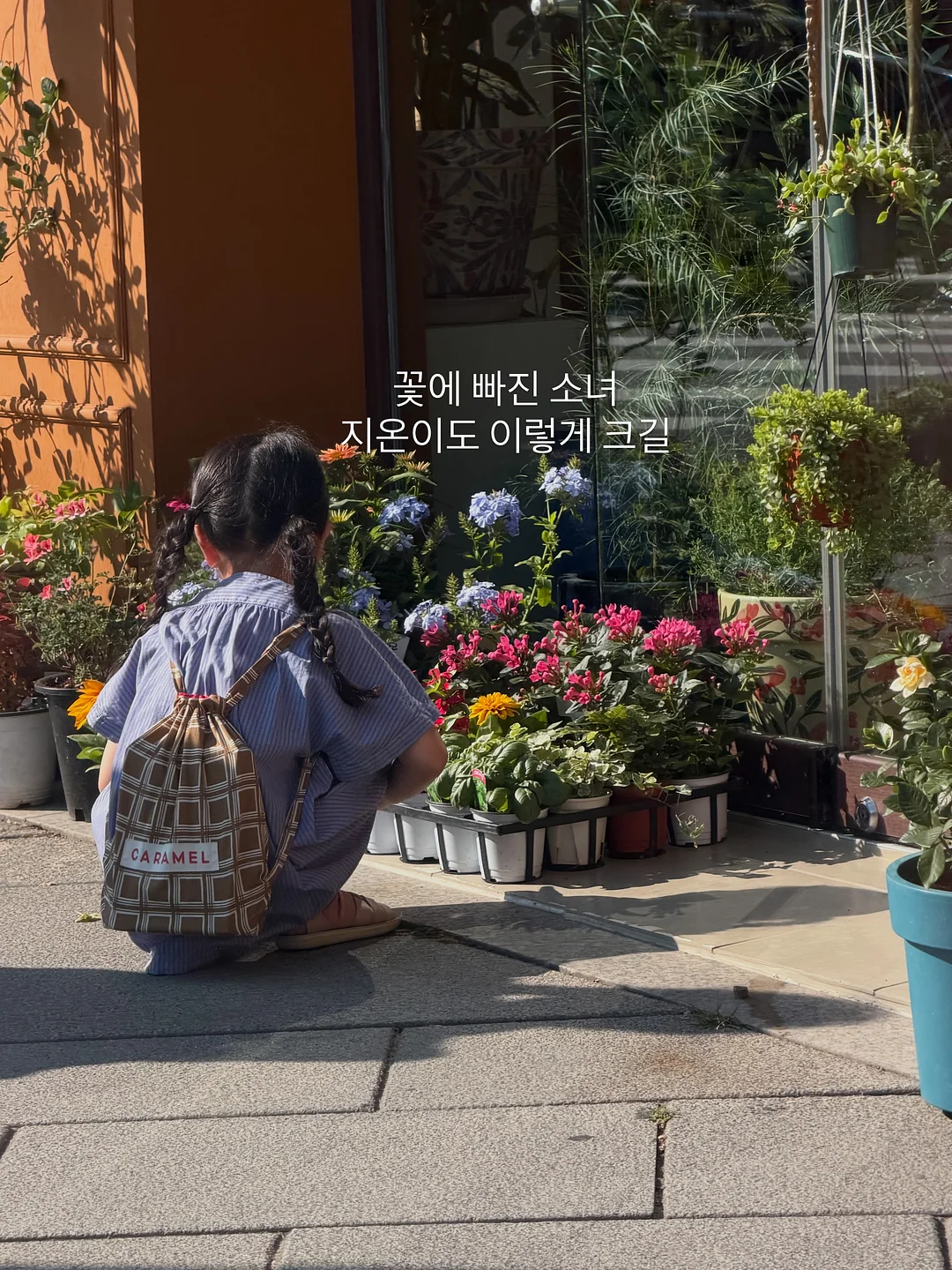 고원혜 브러쉬 6