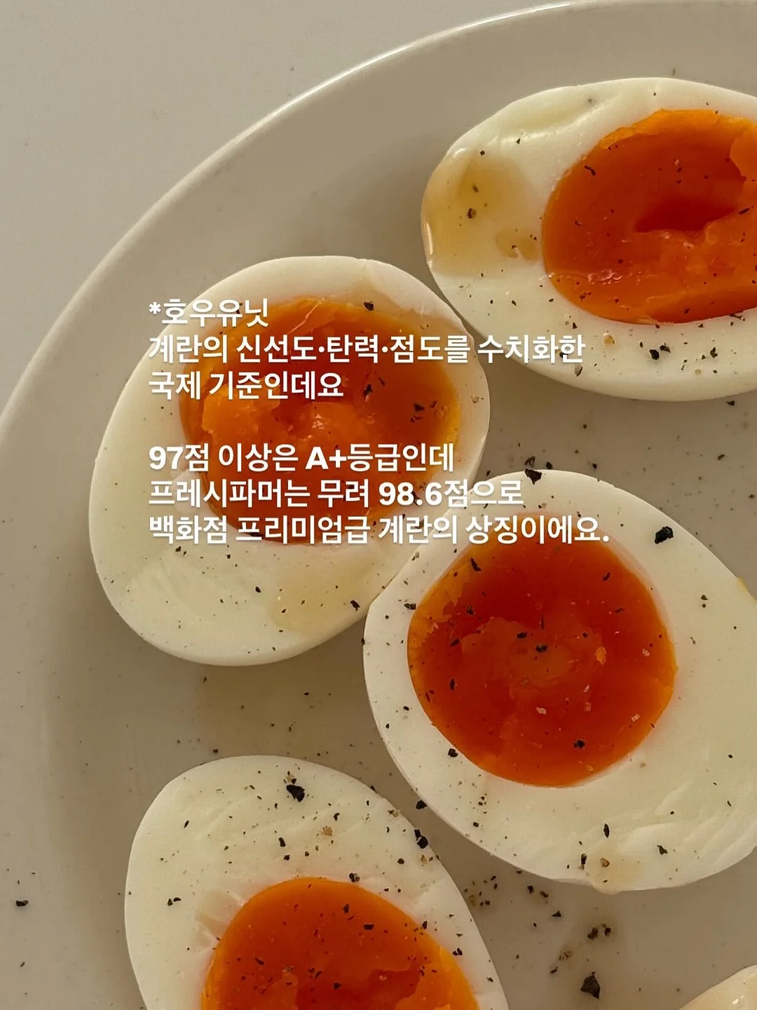 안젤라 드레스 13