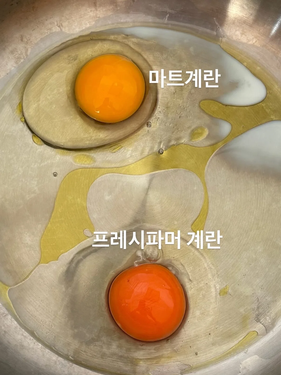 안젤라 드레스 6