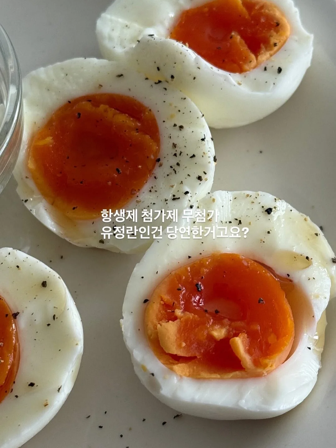 안젤라 드레스 10