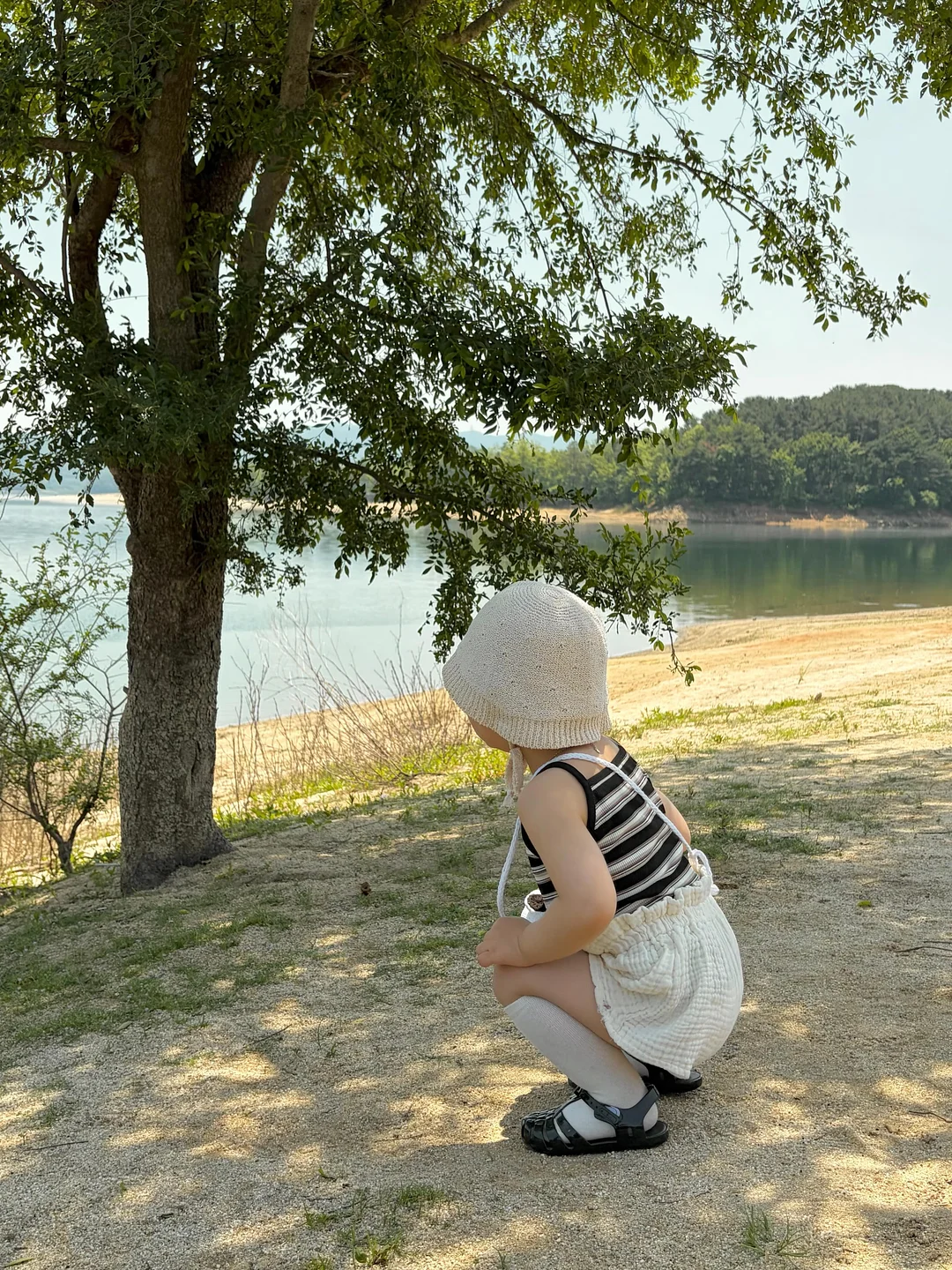 금귤 프로마쥬 블랑 마들렌 7