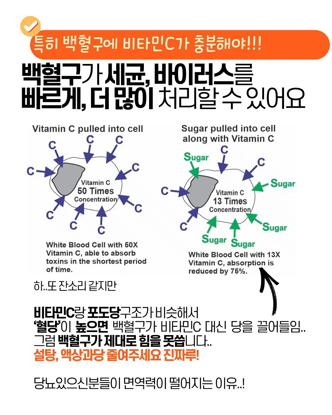 모리아구칼국수 밀키트 6