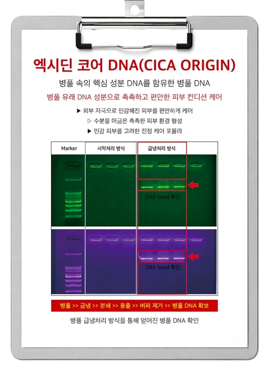 QMAX 냉감 러그 & 쇼파패드 3