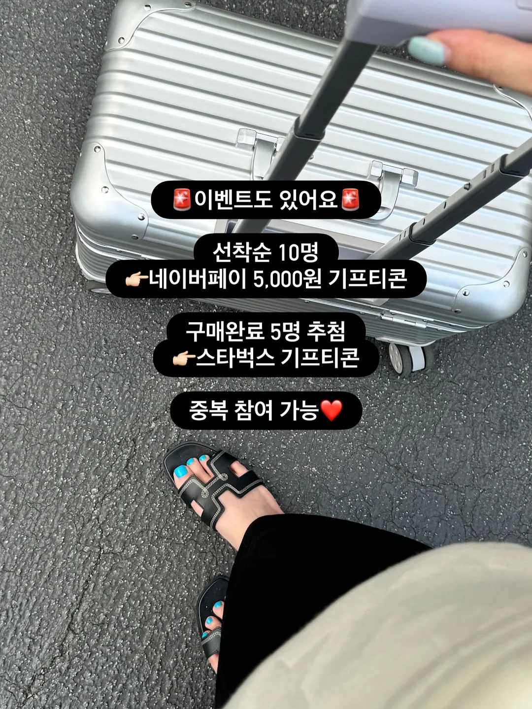 꽃·식물 온라인 수익화 2