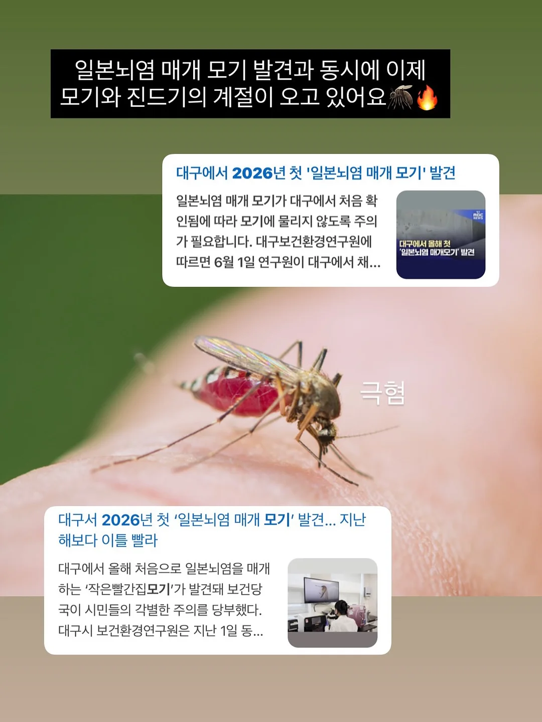 풀 모양 스톤 파우더 2