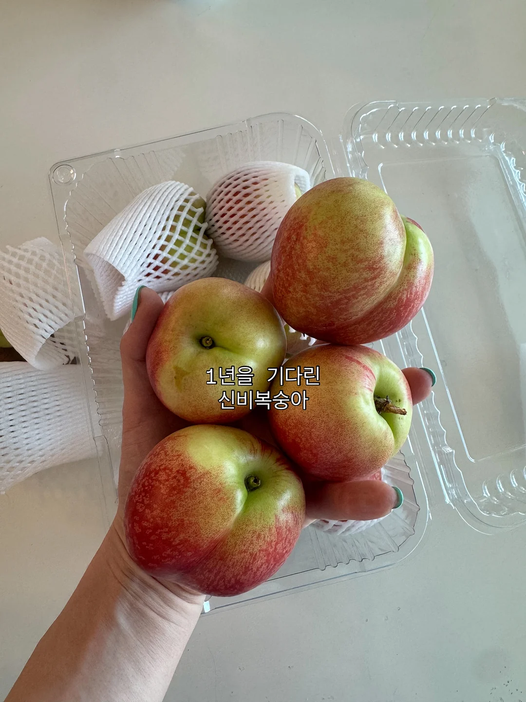 칫솔 살균 건조기, 욕실화 12