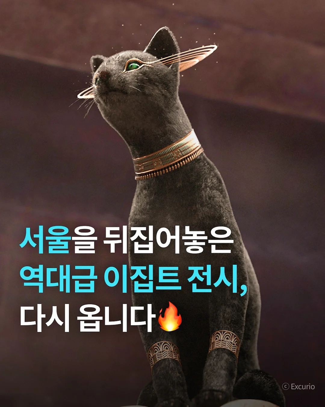 체어팩토리 누아 체어 1