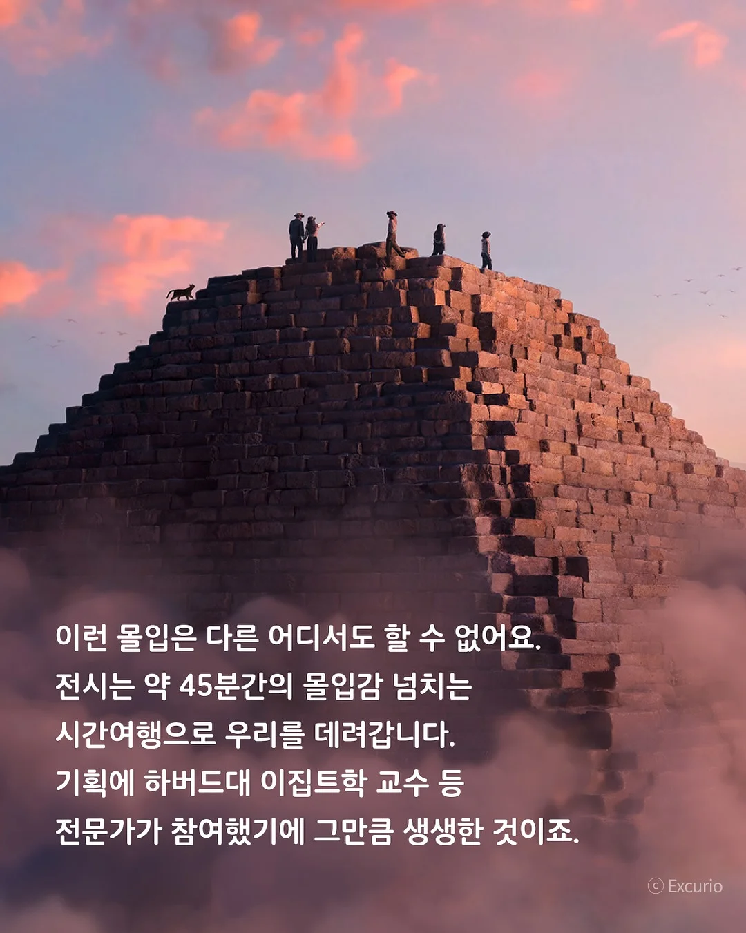 체어팩토리 누아 체어 6