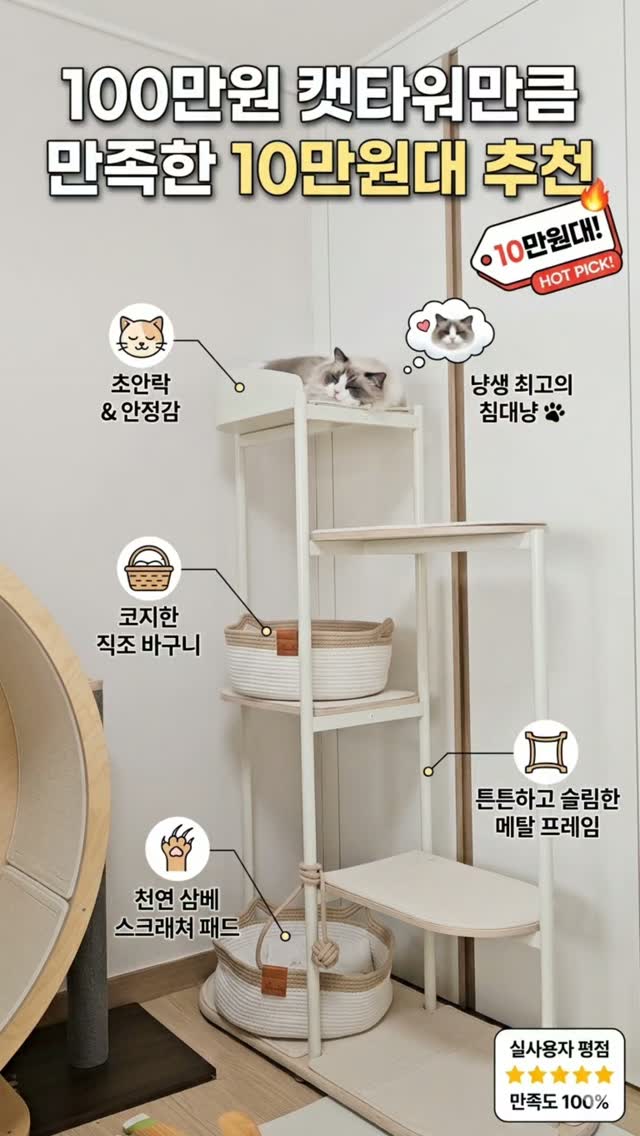 제주 햇조생양파 5kg