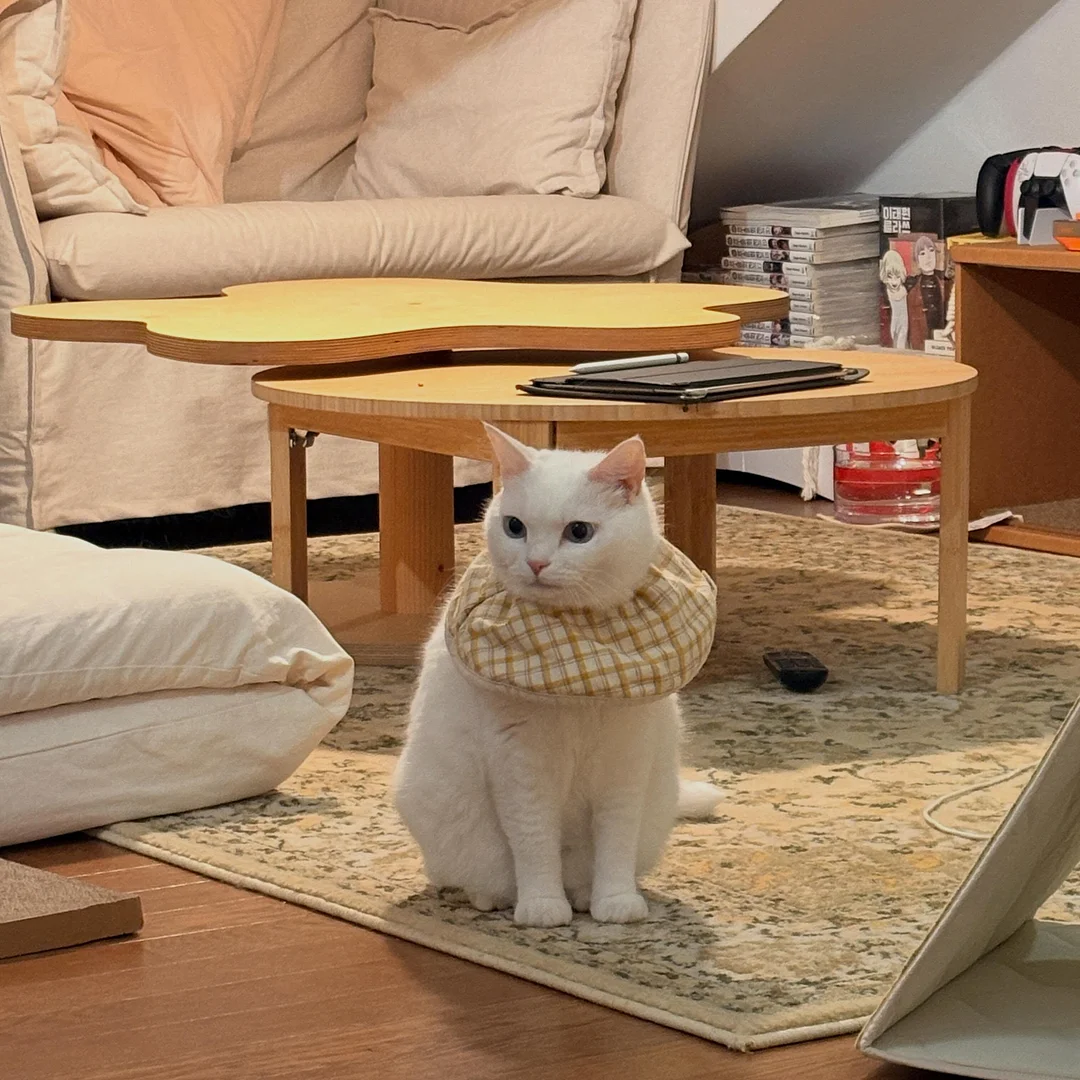 카고포켓 데님 팬츠 2