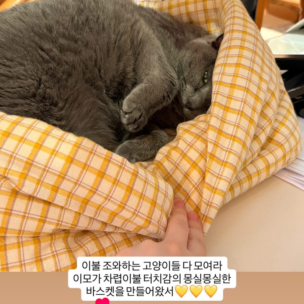 카고포켓 데님 팬츠 6