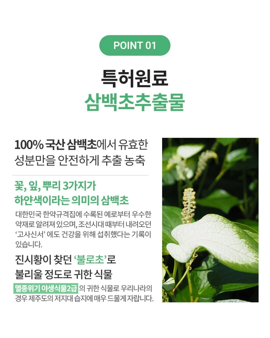 도복소리 주니어 최준혁 태극 7장 5