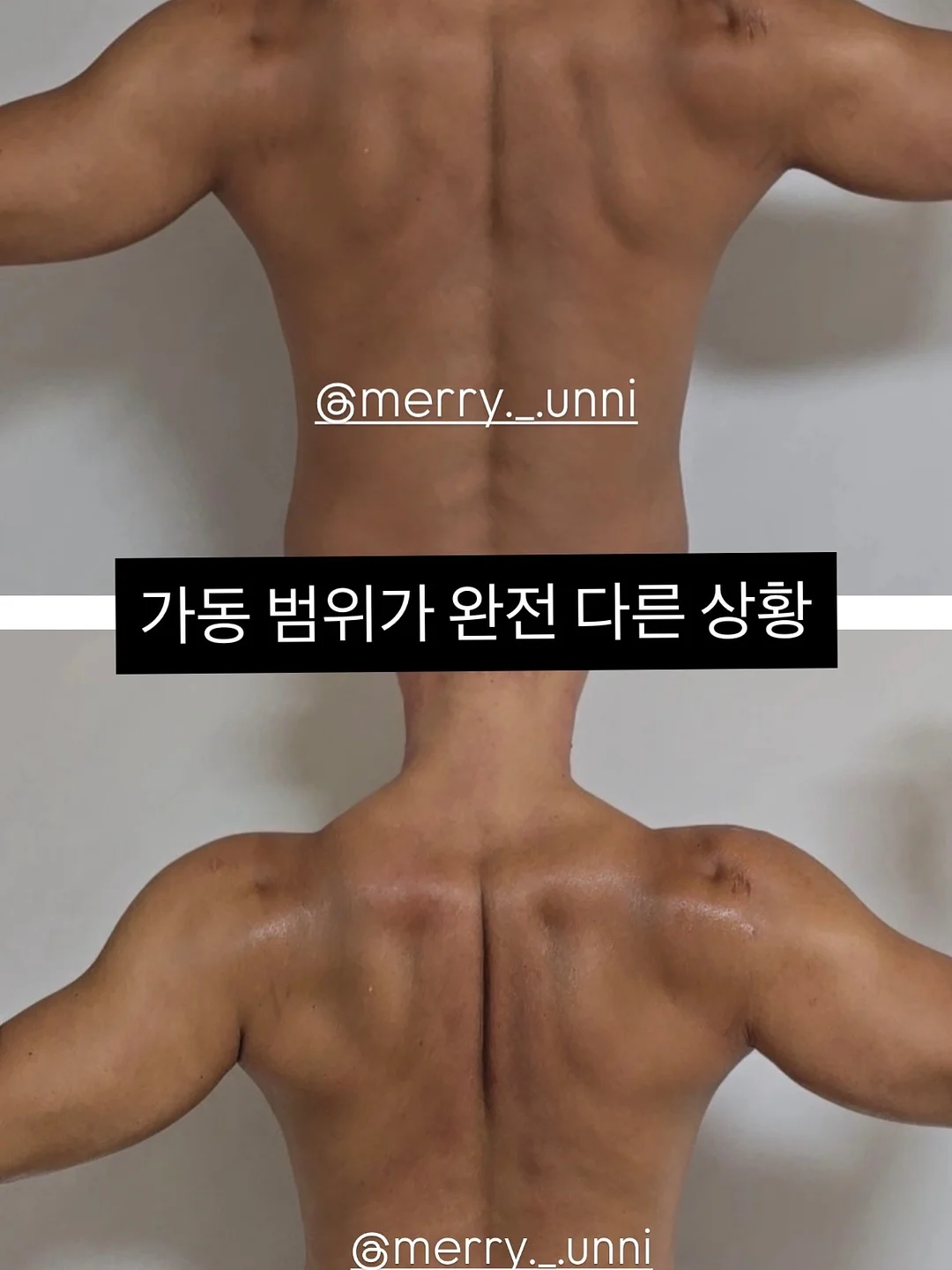 스팀 청소기 11