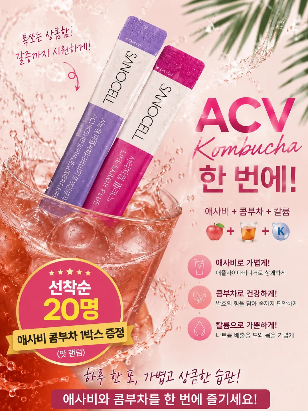 누토프 셋업