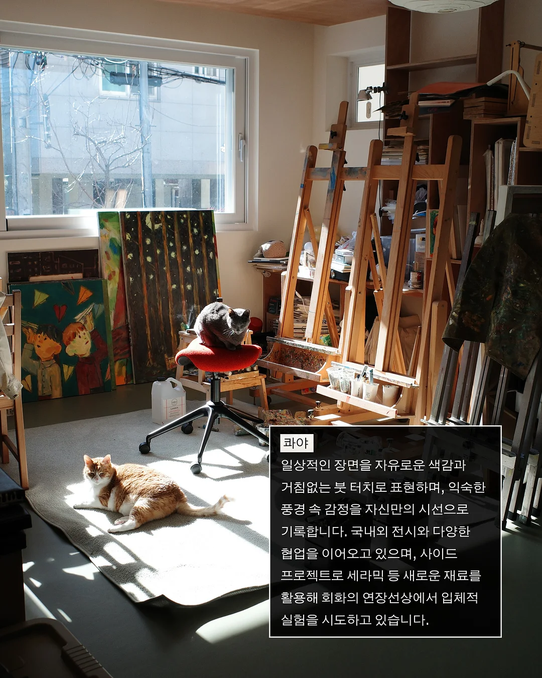 사생활보호필름 2