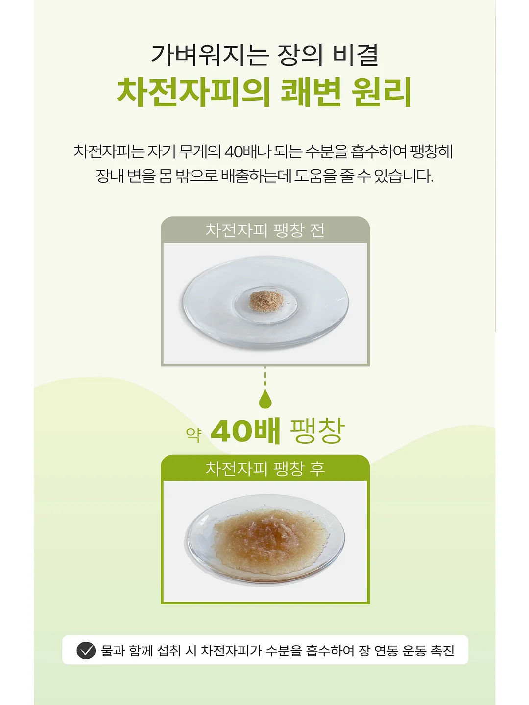 언뮤즈 래쉬 리프트 펌 3