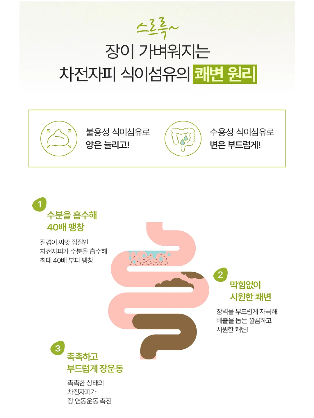 언뮤즈 래쉬 리프트 펌 4