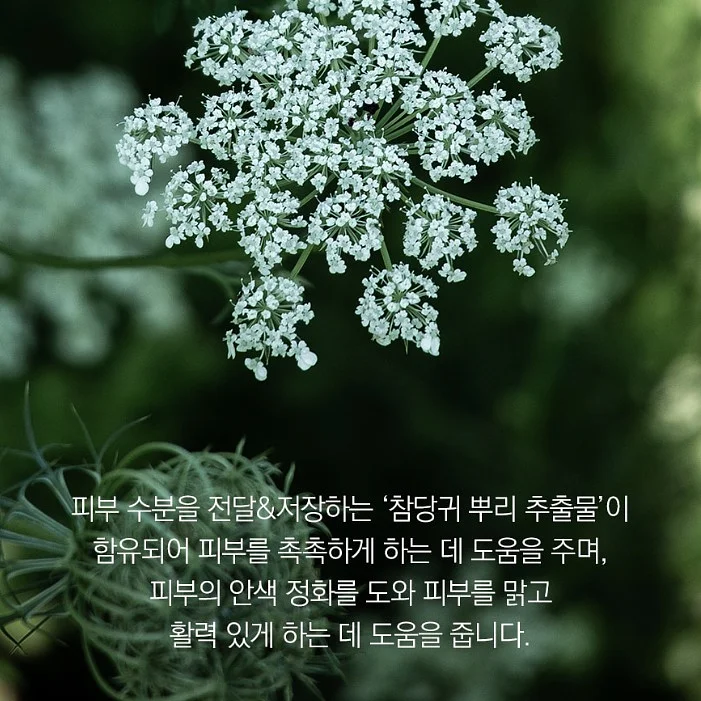 유아 인기도서 4