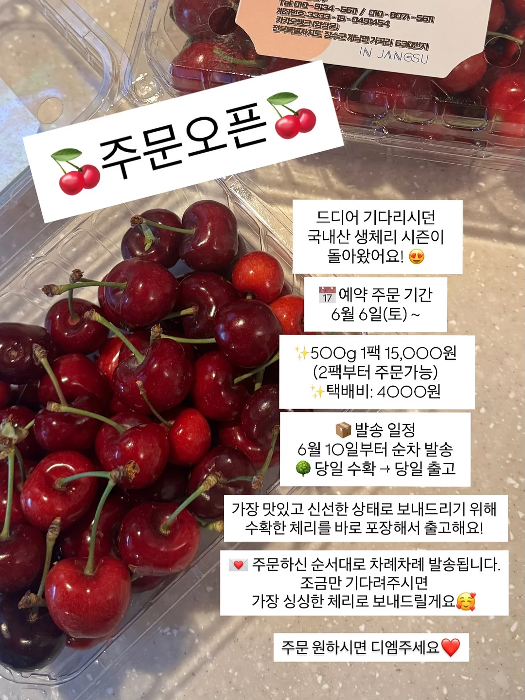 플리츠 팬츠 1