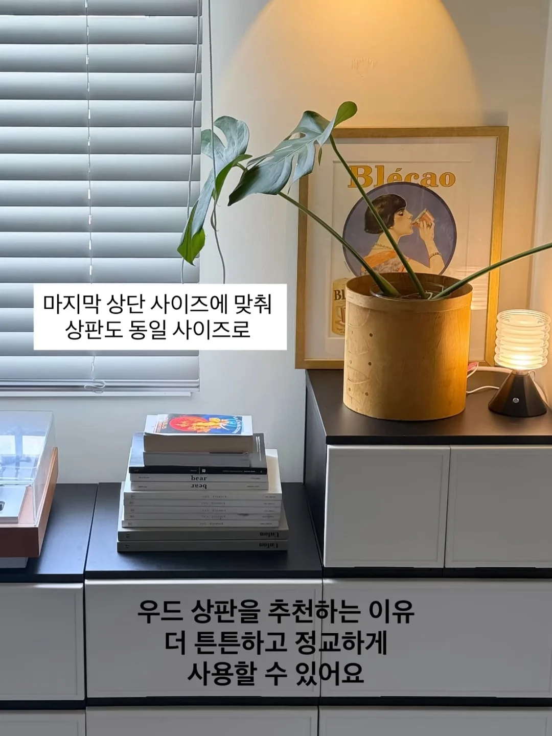 천연 포장재 12