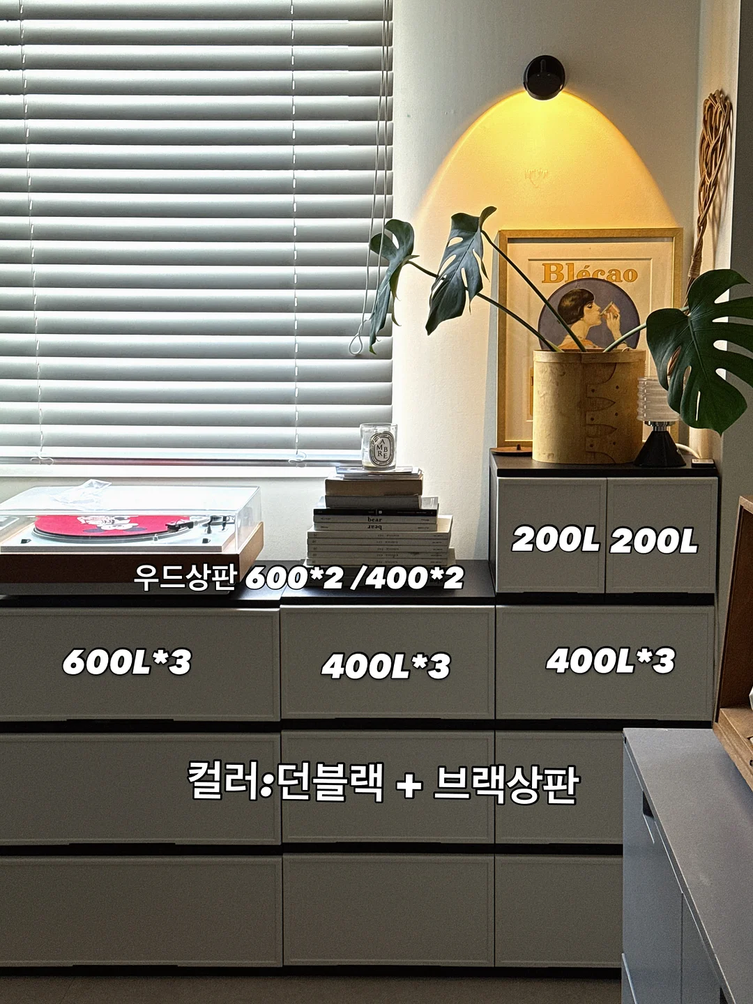 천연 포장재 2