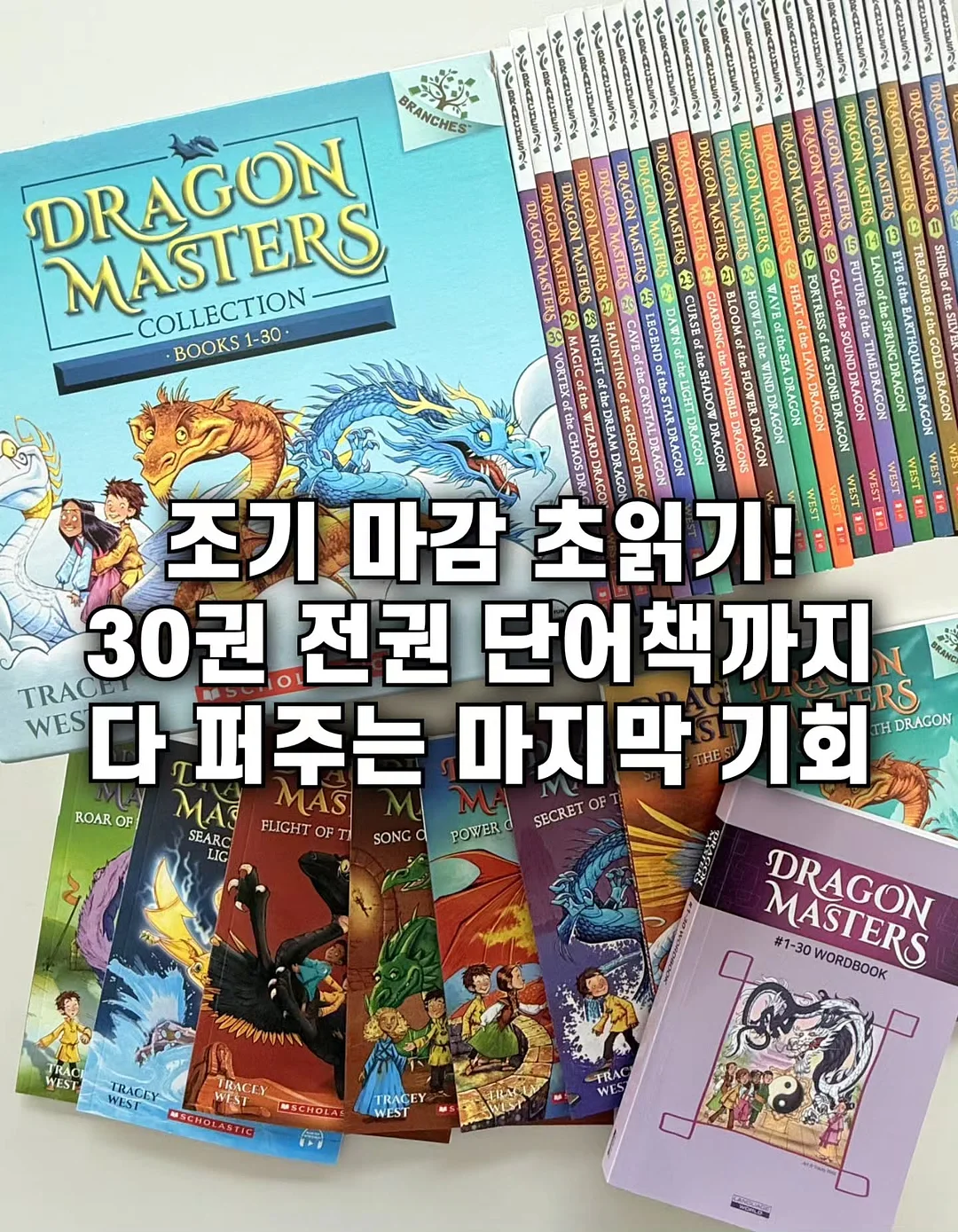 윈드 컬렉션