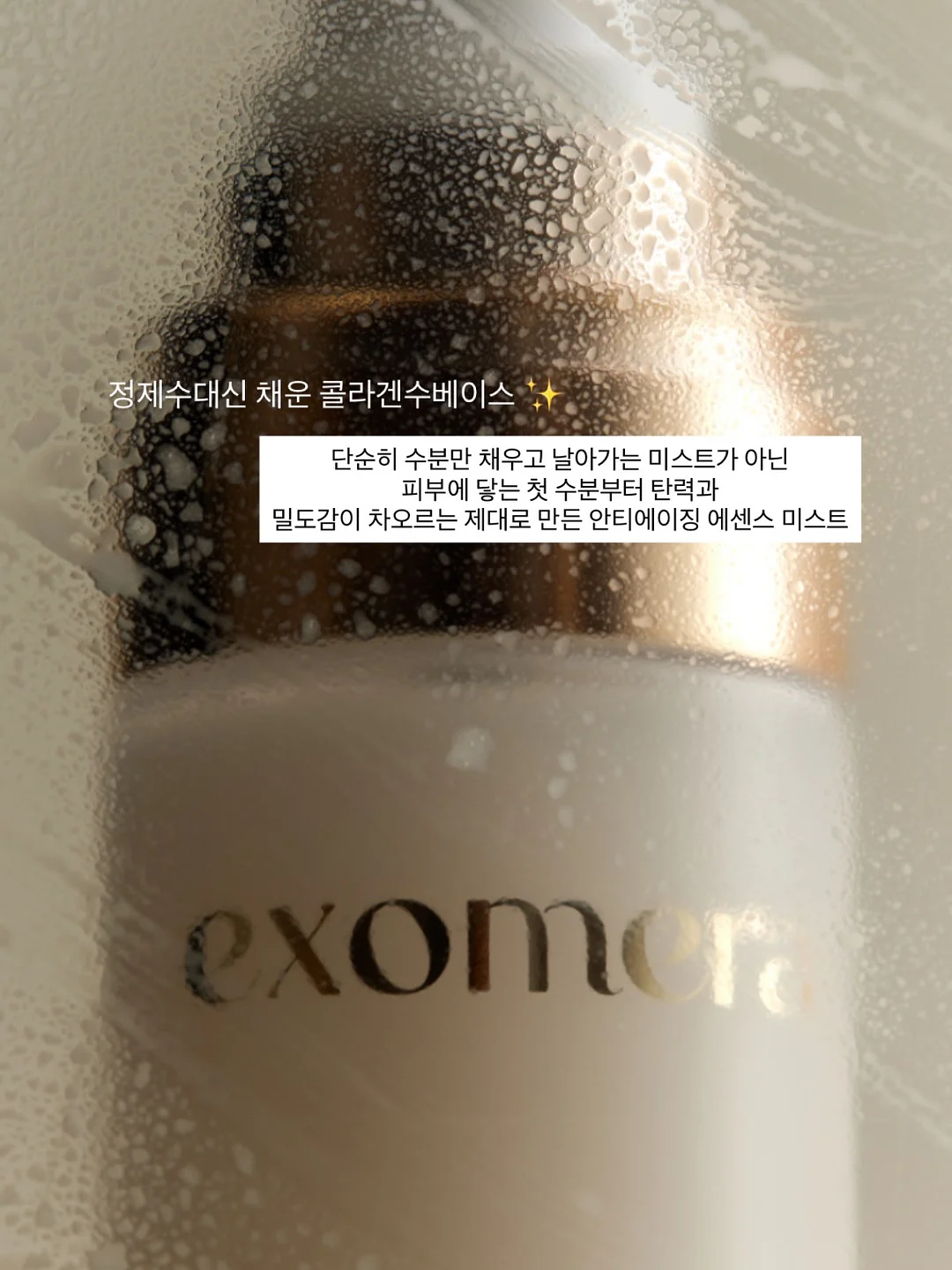 진연당 한우 사골곰탕 6