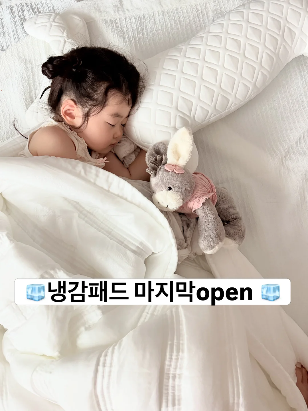 제이델링 2단 생일케이크 1
