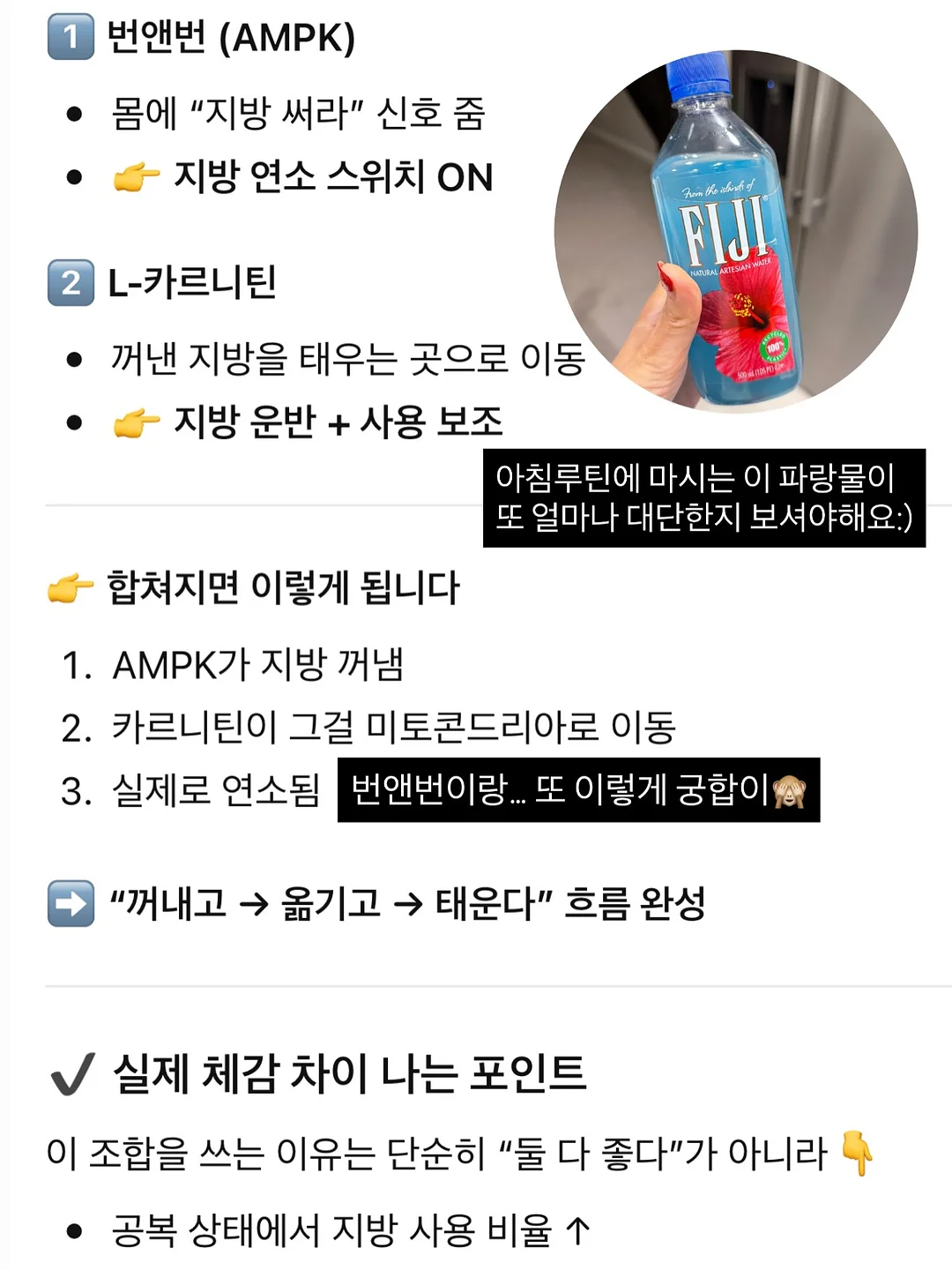 뉴 웨지뮬 14