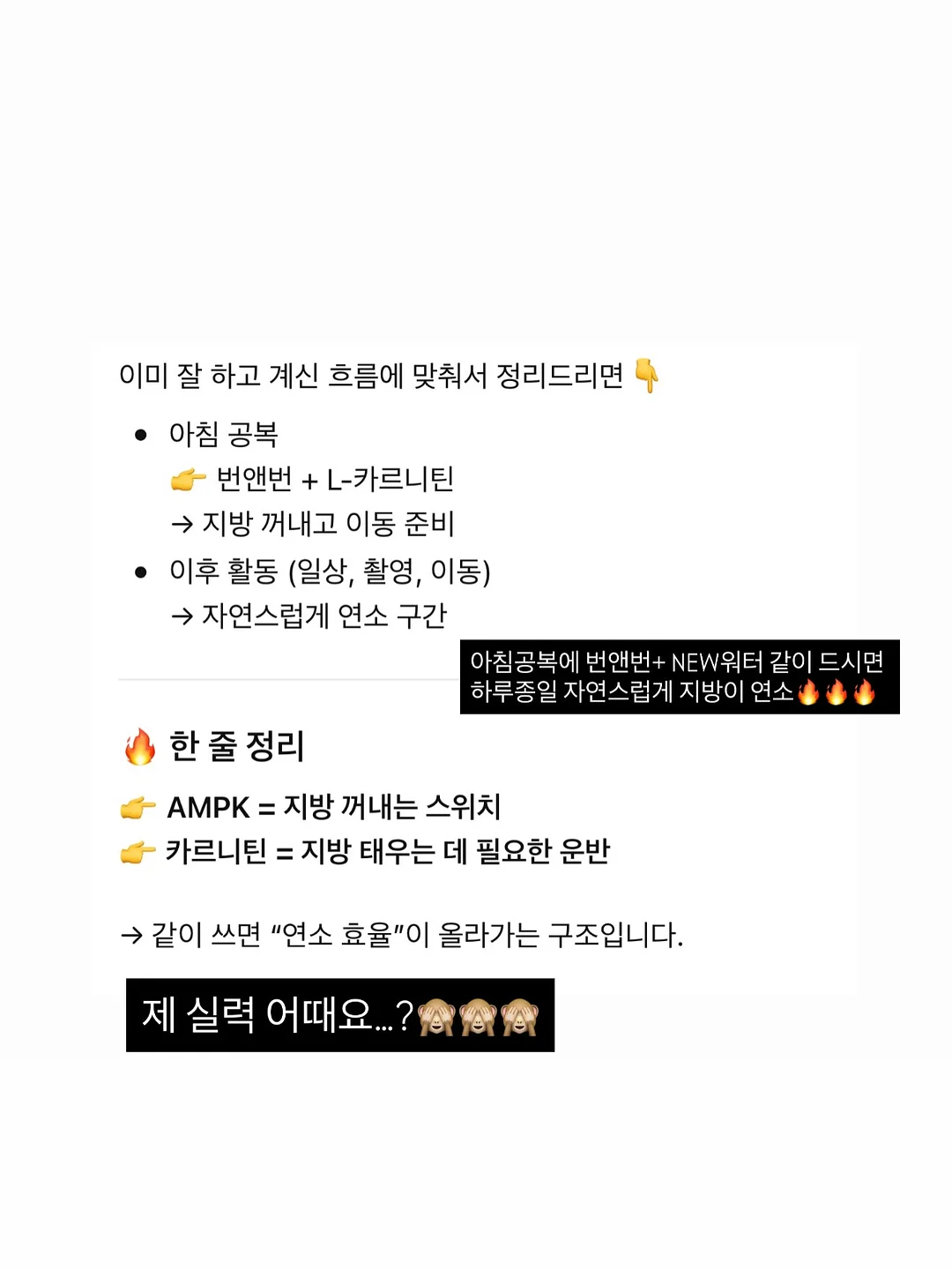 뉴 웨지뮬 15