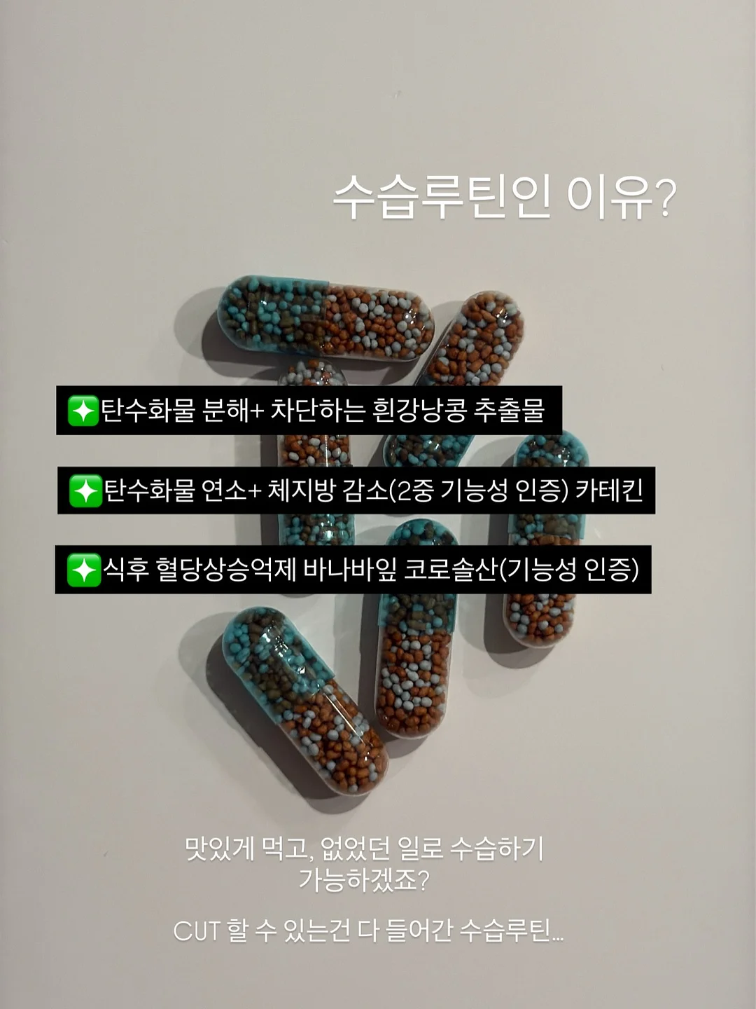 뉴 웨지뮬 17
