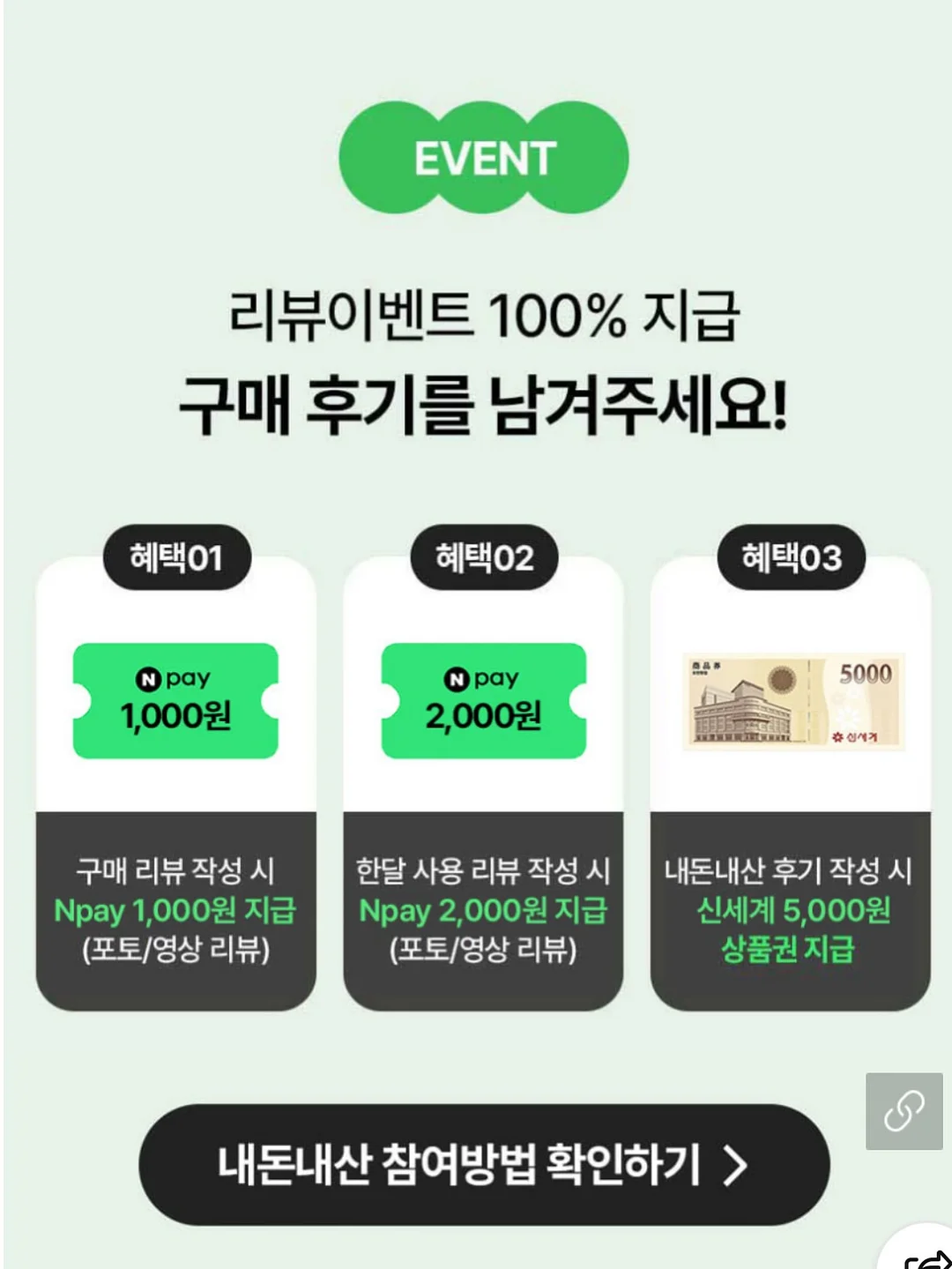 비비드백 17