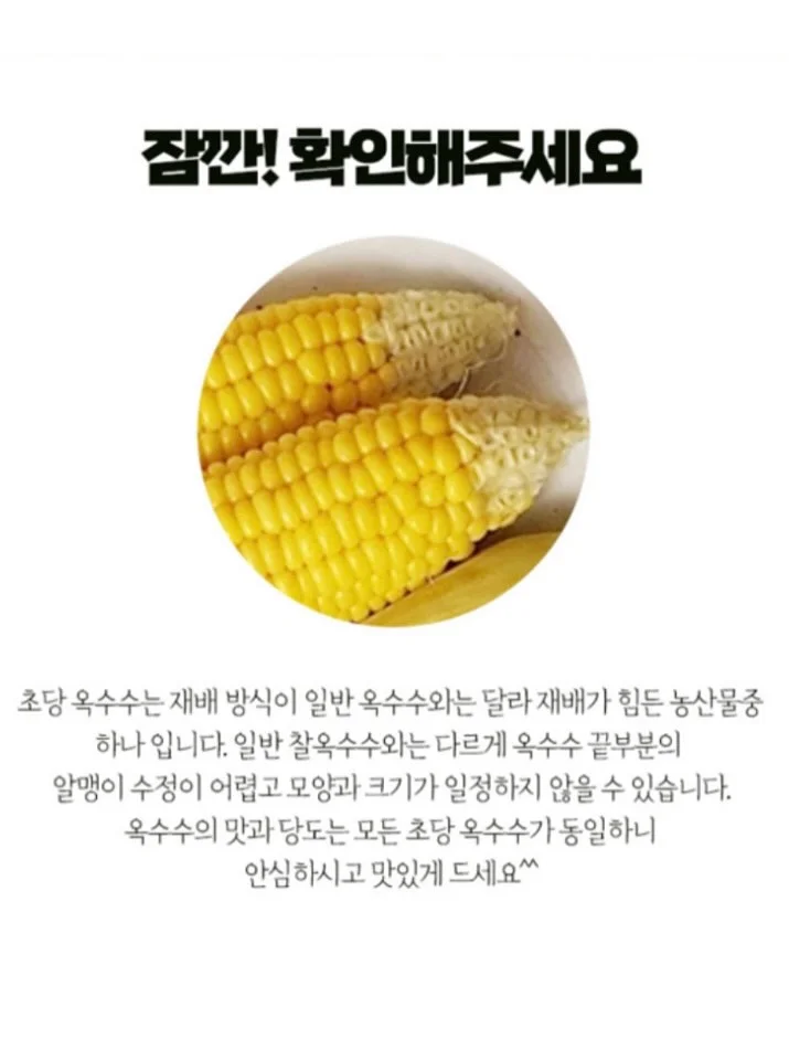 루나 멜티드 치크밤 9