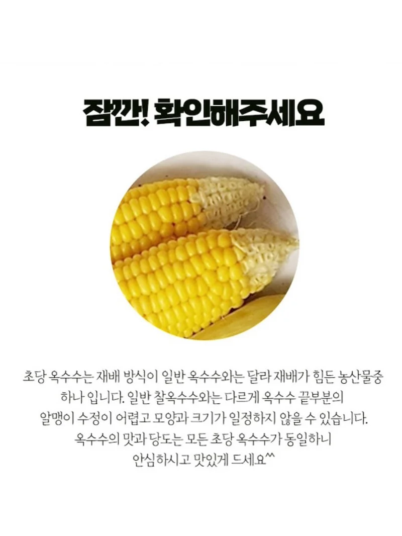 보름달 강아지케이크 11