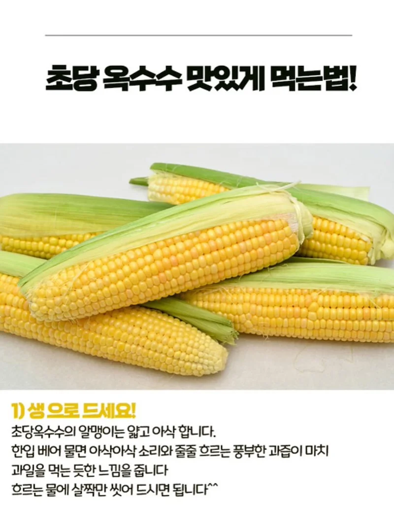 보름달 강아지케이크 12